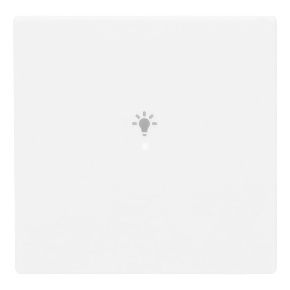 Busch Jäger Wippe 1-fach Symbol Licht 6231-10-84 studioweiß... BJ-2CKA006220A0037 4011395181676 (Abb. 1)