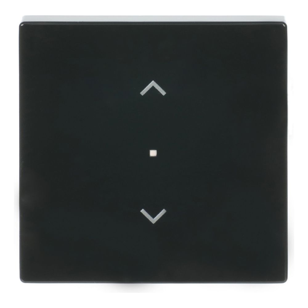 Busch Jäger Wippe 1-fach Symbol 6232-10-81 Jalousie Busch-free@home anthrazit 80x80... BJ-2CKA006220A0038 4011395181348 (Abb. 1)