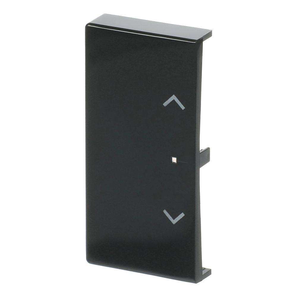 Busch Jäger Wippe links 2-fach Symbol 6232-20-81 Jalousie Busch-free@home anthrazit... BJ-2CKA006220A0053 4011395181416 (Abb. 2)