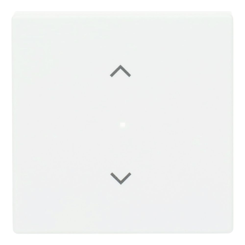 Busch Jäger Wippe 1f Jalousie matt 6232-10-884 sws... BJ-2CKA006220A0483 4011395203149 (Abb. 1)