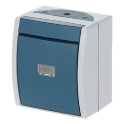 Busch Jäger APWG ocean Taster 2621W-53-206 Wechsler grau/blaugrün 1-polig... BJ-2CKA001484A0054 4011395023921 (Abb. 1)