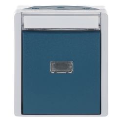 Busch Jäger Wipptaster Schließer 1pol 2621WN-53-201 grau/blaugrün mit Beschriftungs... BJ-2CKA001484A0373 4011395993491 (Abb. 1)