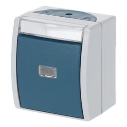 Busch Jäger Wipptaster Schließer 1pol 2621WN-53-201 grau/blaugrün mit Beschriftungs... BJ-2CKA001484A0373 4011395993491 (Abb. 1)