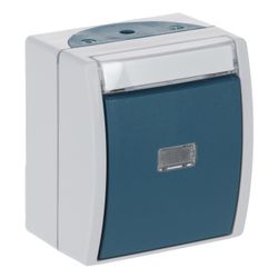 Busch Jäger Wipptaster Schließer 1pol 2621WN-53-201 grau/blaugrün mit Beschriftungs... BJ-2CKA001484A0373 4011395993491 (Abb. 1)