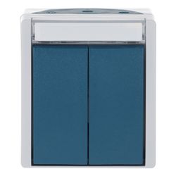 Busch Jäger APWG ocean Doppeltaster 2621WN-53-205-101 grau/blau 2x1-polig... BJ-2CKA001484A0374 4011395993507 (Abb. 1)