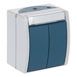Busch Jäger APWG ocean Doppeltaster 2621WN-53-205-101 grau/blau 2x1-polig... BJ-2CKA001484A0374 4011395993507 (Abb. 1)