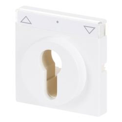 Busch Jäger carat Abdeckung für 1755SL/PZ-84-101 Schlüsselschalter mit Aufdruck dav... BJ-2CKA001710A3175 4011395996737 (Abb. 1)