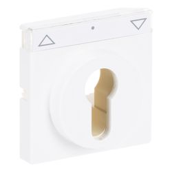 Busch Jäger carat Abdeckung für 1755SL/PZ-84-101 Schlüsselschalter mit Aufdruck dav... BJ-2CKA001710A3175 4011395996737 (Abb. 1)