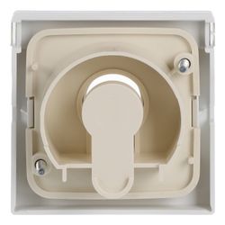 Busch Jäger carat Abdeckung für 1755SL/PZ-84-101 Schlüsselschalter mit Aufdruck dav... BJ-2CKA001710A3175 4011395996737 (Abb. 1)