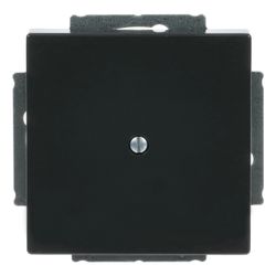 Busch Jäger carat Blindabdeckung 1742-81 anthrazit mit Tragring... BJ-2CKA001710A3612 4011395056271 (Abb. 1)