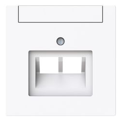 Busch Jäger Zentralscheibe 2-fach UAE 1803-02-44G mit Beschriftungsfeld weiß Busch-... BJ-2CKA001710A4227 4011395328286 (Abb. 1)