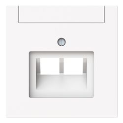 Busch Jäger Zentralscheibe 2-fach UAE 1803-02-44M mit Beschriftungsfeld Busch-art l... BJ-2CKA001710A4228 4011395328293 (Abb. 1)