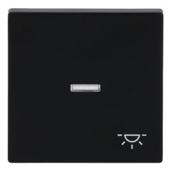 Busch Jäger Wippe für Kontrollschalter 1789 LI-885 Symbol Licht schwarz matt 1-fach... BJ-2CKA001751A3045 4011395129821 (Abb. 1)