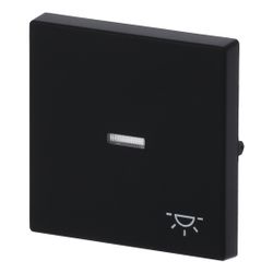 Busch Jäger Wippe für Kontrollschalter 1789 LI-885 Symbol Licht schwarz matt 1-fach... BJ-2CKA001751A3045 4011395129821 (Abb. 1)