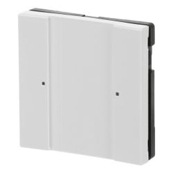 Busch Jäger Bedienelement 1/2fach 6125/02-84 Multifunktion Farbkonzept für Busch-In... BJ-2CKA006115A0196 4011395139370 (Abb. 1)