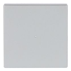 Busch Jäger Wippe 1fach 6230-10-83 alusilber... BJ-2CKA006220A0033 4011395181997 (Abb. 1)