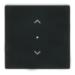Busch Jäger Wippe 1-fach Symbol 6232-10-81 Jalousie Busch-free@home anthrazit 80x80... BJ-2CKA006220A0038 4011395181348 (Abb. 1)