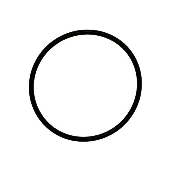 Brötje O-Ring für Filtertasse, 539593
