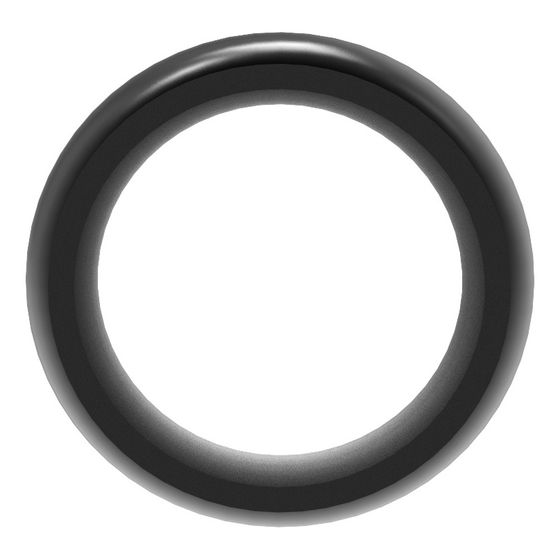 Brötje O-Ring FPM 75 P-16, für BZS, 7803546
