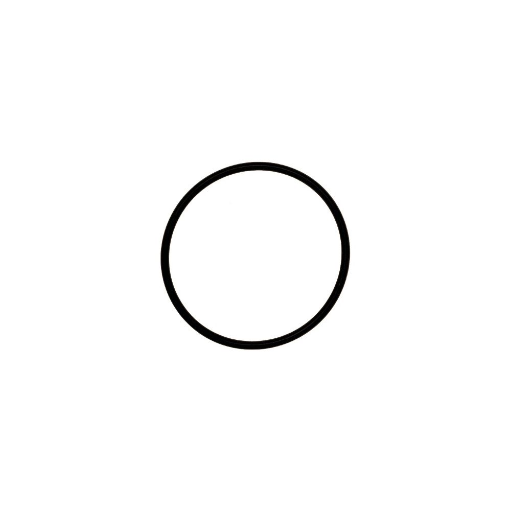 Brötje O-Ring für Filtertasse, 539593... BROETJE-539593 4017042539593 (Abb. 1)