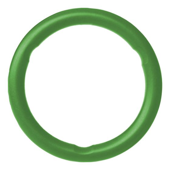Buderus Edelstahl-/C-Stahl-O-Ring FPM LBP 42 für V-Kontur, Grün