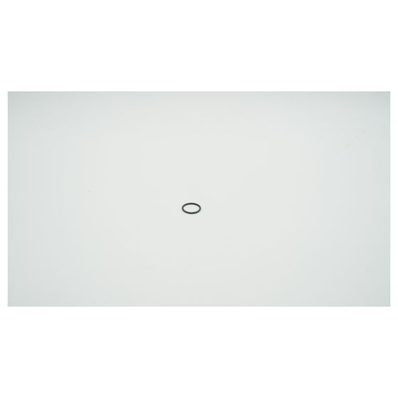 BWT O-Ring für Haustechnik, 25x2,5mm, 1-071772
