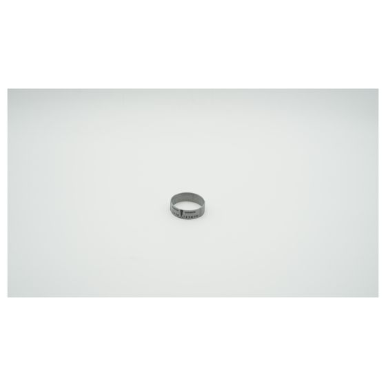BWT Datumring für Bolero HWS/RF und Cillit Galileo HWS/RSF, ABS Silbermetallic, 1-151886