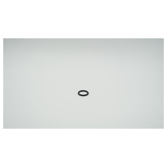 BWT O-Ring FP75, 31,12x5,33mm, 1-180095