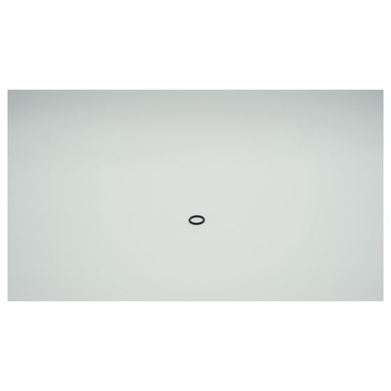 BWT O-Ring für Infinity M 2 1/2