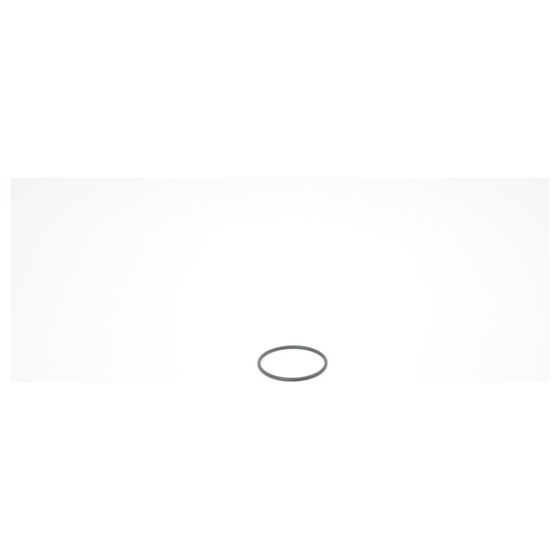 BWT O-Ring für Infinity M 2 1/2