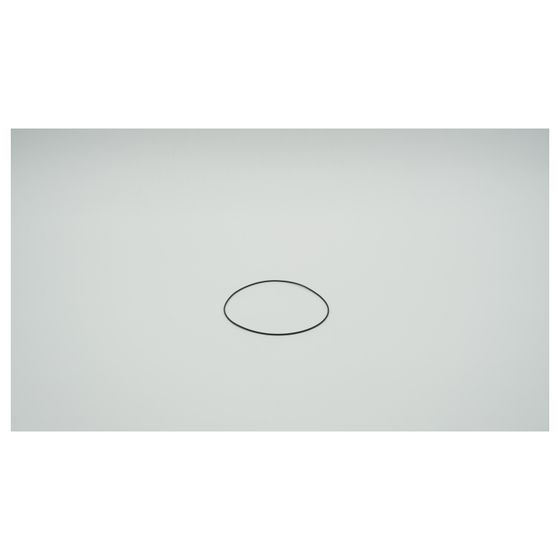 BWT O-Ring für Haustechnik, 114x1,6mm, 1-181480