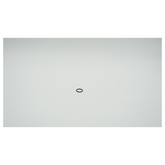 BWT O-Ring EP70 für Bewades, 22x2,5mm, 1-181523