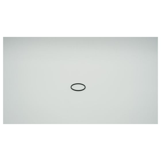 BWT O-Ring für Infinity M 2, NBR55 52x3,5mm, 1-181557
