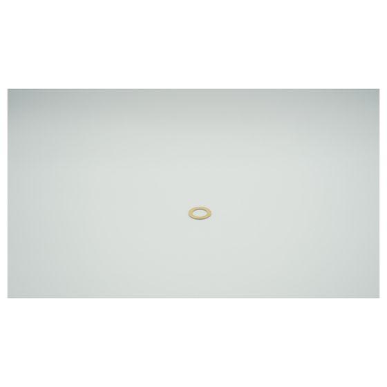 BWT Dichtung für SHD-200, 38x25x2mm, trinkwasserkonform, 1-185028