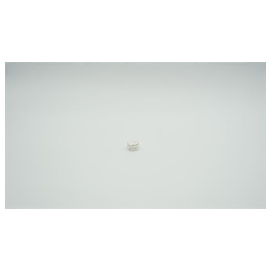 BWT Ansteckfassung für 26er Lampe G13, 1-442437