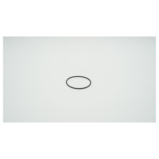 BWT O-Ring für Aktivkohlefilter DN 20, 1-902736