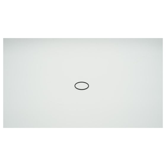 BWT O-Ring für Filtertasse E1, 1-904441