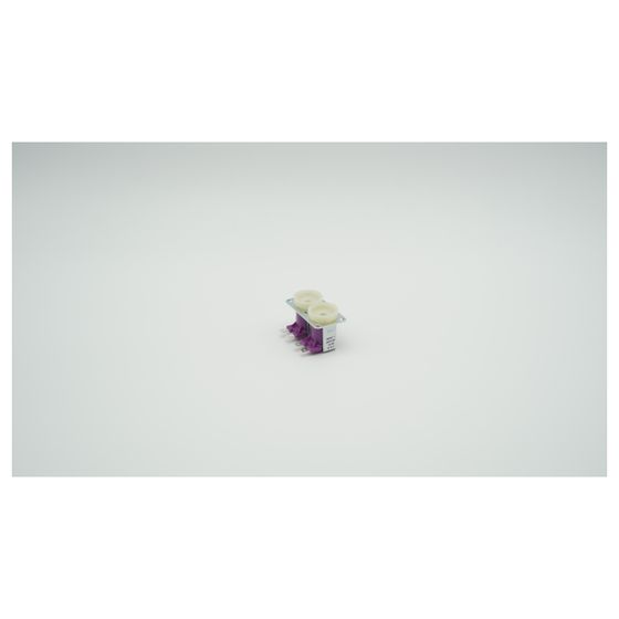 BWT Doppel-Magnetventil, 2-060479