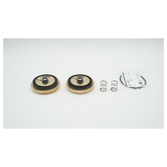 BWT Hauptmembrane für Rondomat Duo 6 und 10, 2er-Set, 2-060568