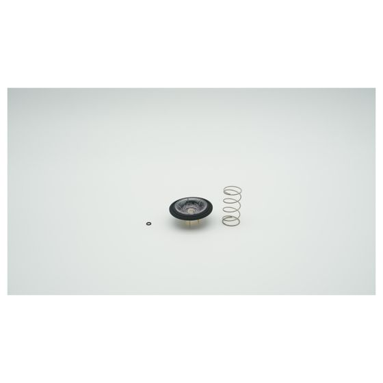 BWT Hauptmembrane für Rondomat Duo 2 und 3, 2-060608