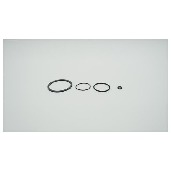 BWT Dichtungsset für Infinity A und AP, trinkwasserkonform, 2-060621