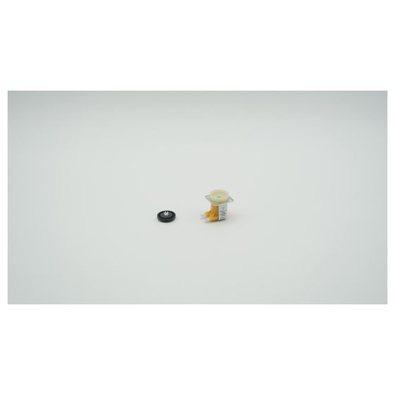 BWT Magnetventil für Infinity A Größe 2, 24V AC, 2-060977