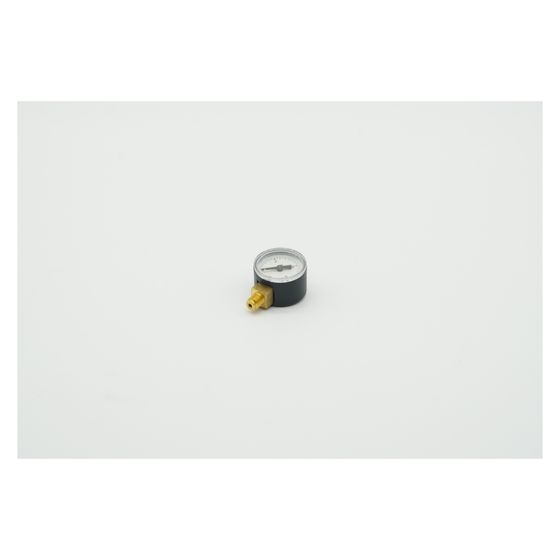 BWT Manometer, 40mm 1/8