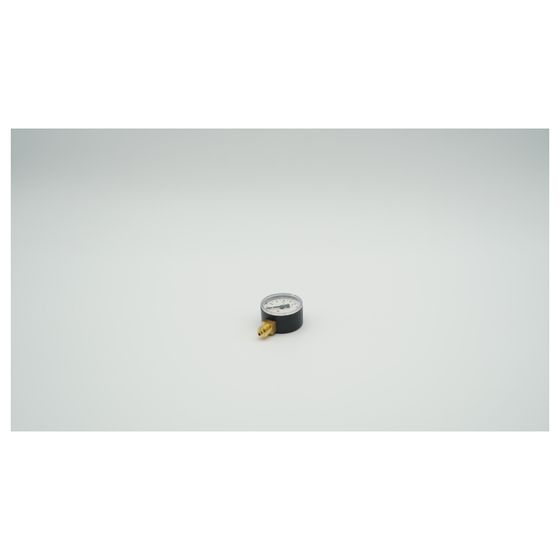 BWT Manometer 50 1/4