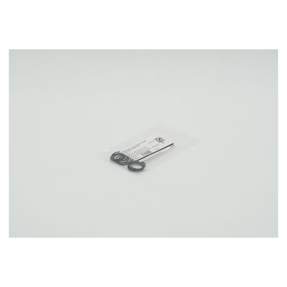 BWT O-Ring für E-Zelle, 19x1,5mm, 2-061104