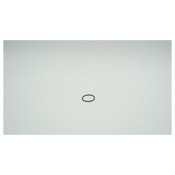 BWT O-Ring EP70 42,52x2,62mm, 9-127590