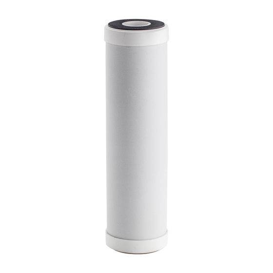 BWT Aktivkohlepatrone für Aktivkohlefilter DN 20, 13998
