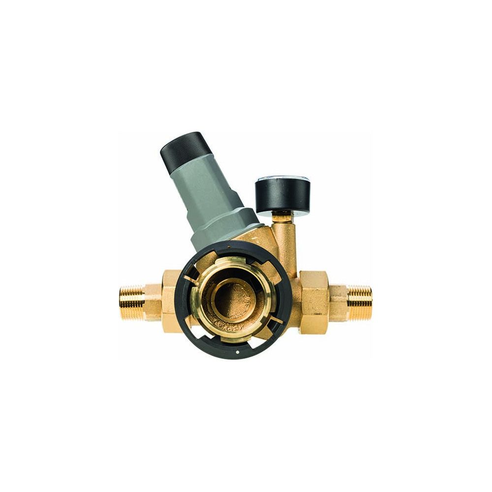 BWT Anschluss-Modul mit Druckminderer 3/4"x100 Druckminderer-Anschlussstück, HACCP, blei... BWT-125596764 9022000017612 (Abb. 1)