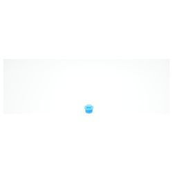 BWT Stopfen für PP-Blau, R 3/4" x 25,5mm, 1-166985... BWT-1-166985 9008487020918 (Abb. 1)