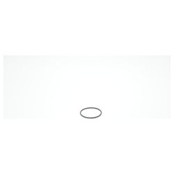 BWT O-Ring für Infinity M 2 1/2" und 2", 66x3,8mm, 1-181466... BWT-1-181466 9008487026149 (Abb. 1)